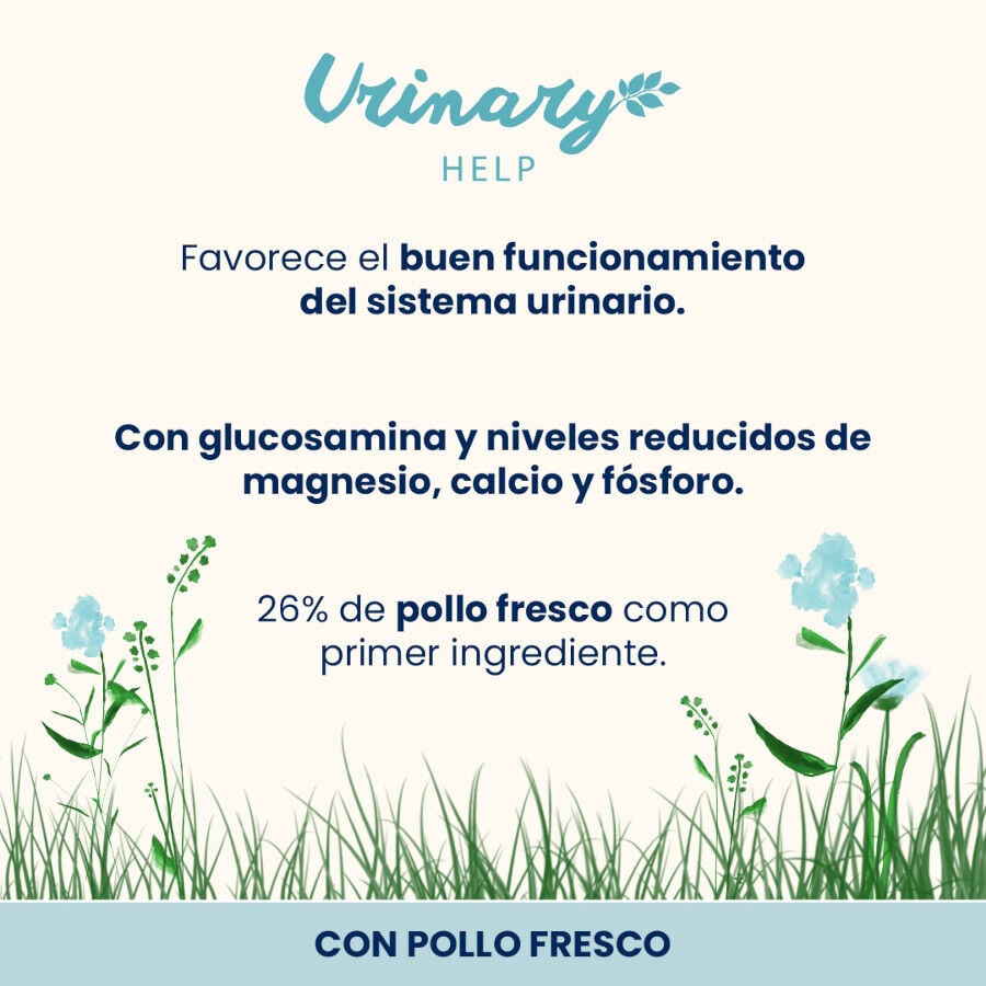 2 kg Almo Nature Urinary Pollo pienso para gatos , , large Imagen numero 2